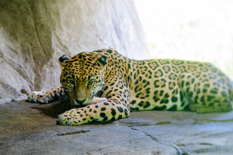 DSC09733-Edit.jpg
