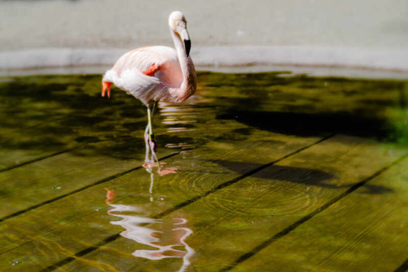 DSC09812-Edit.jpg